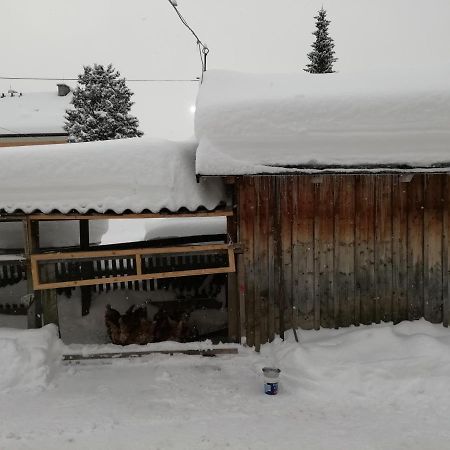 Haus Gell Hotel Mauterndorf  Exterior foto